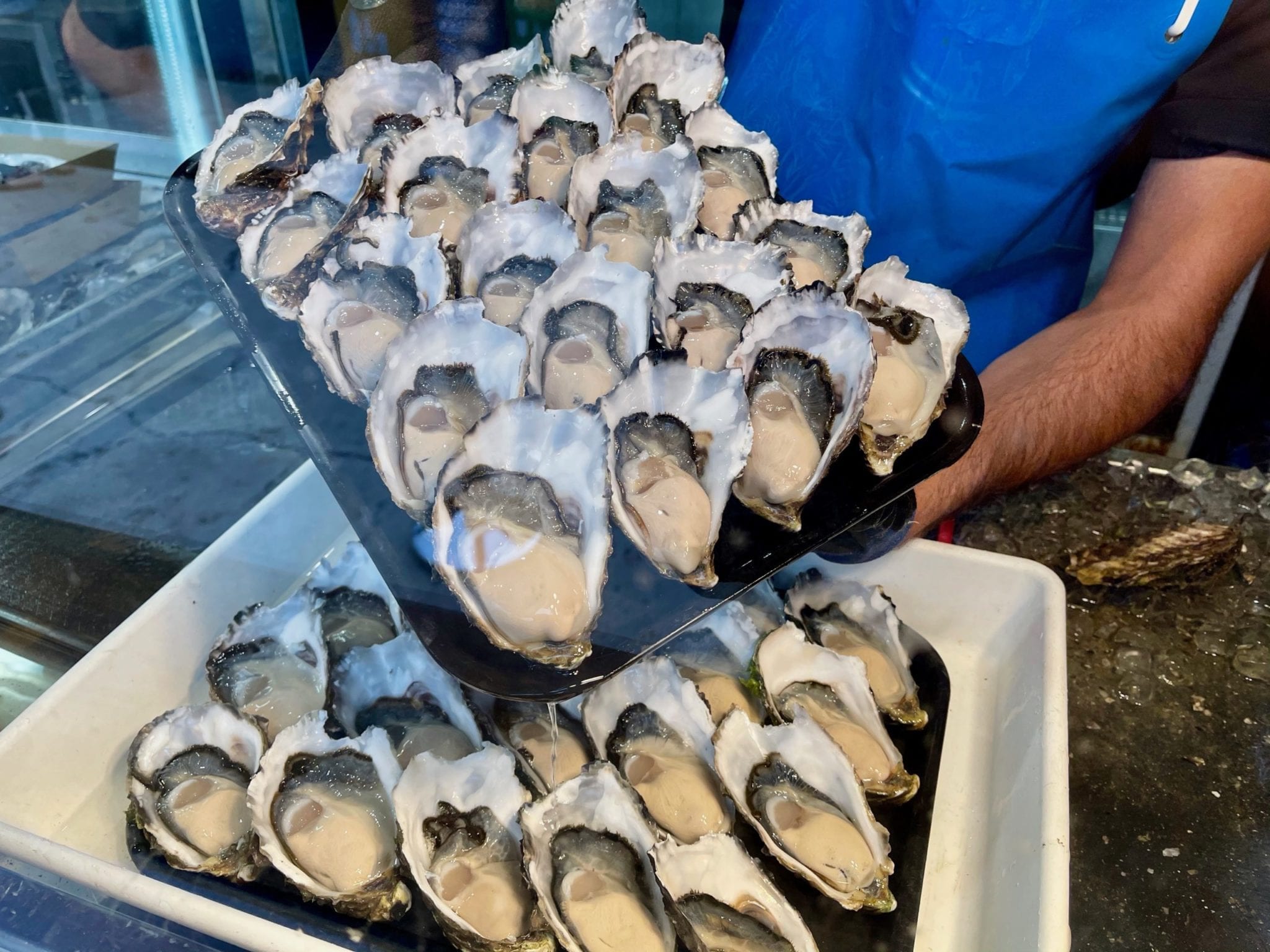 Shuck All Oysters